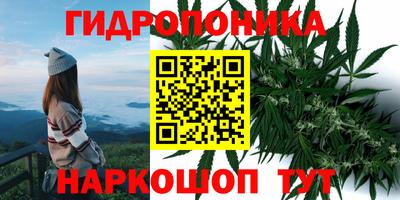 соль ск Рузаевка