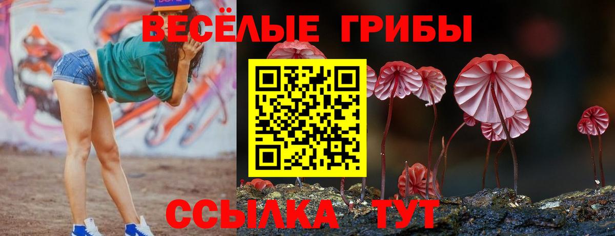 Галлюциногенные грибы GOLDEN TEACHER Оренбург