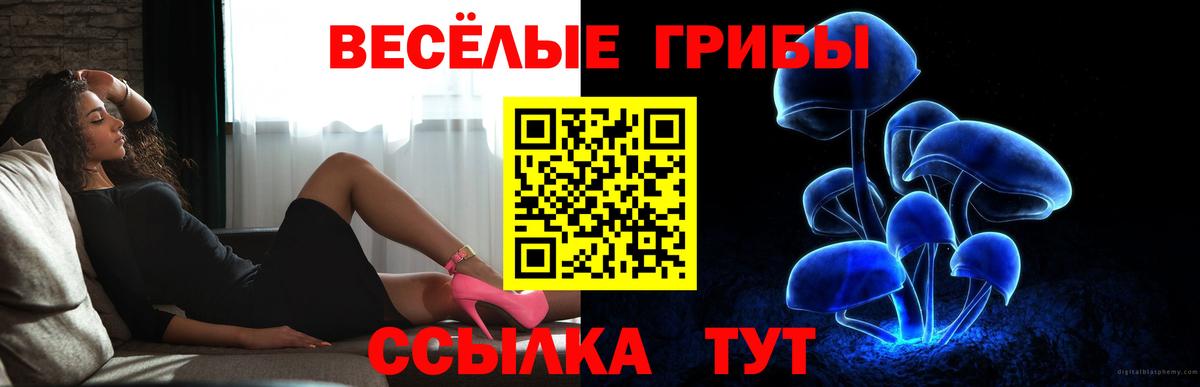 Оренбург  Псилоцибиновые грибы Psilocybine cubensis  Вход с VPN 